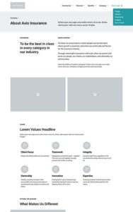 Company-Axis-Insurance-UX-Design
