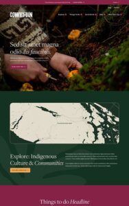 Home-Tourism-Cowichan-UI-Web-Design (1)